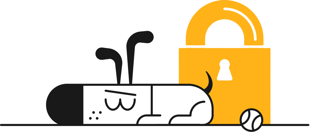 Experience with Kagi